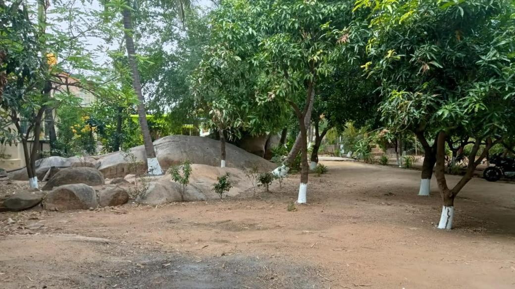 Shankar Homestay Hampi Exterior photo